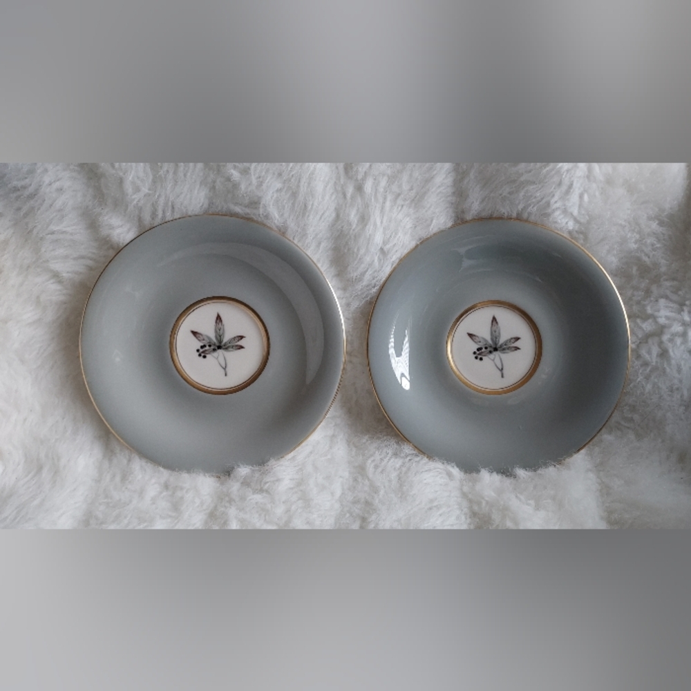 Castleton Woodmere 2 saucers plates